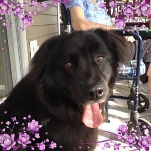 Meet your Posher, Carol